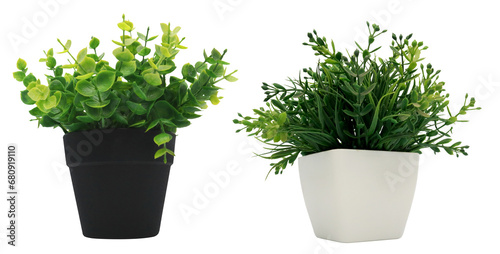 Artificial plants in black and white pots on transparent background png photo