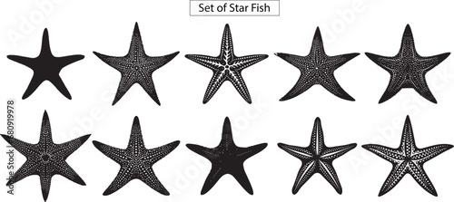 set of starfish silhouette , isolated on white background photo
