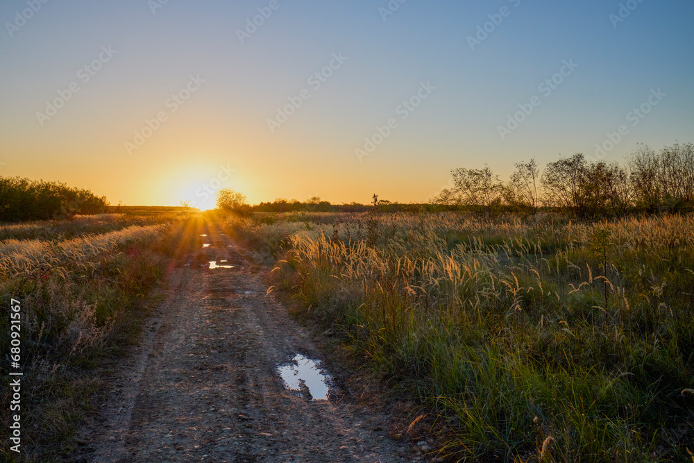 landscape with sunset over a field with wild grass. rural landscape.