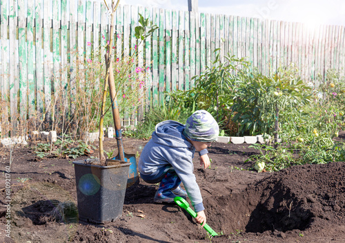 A little boy helps to dig a hole with his toy shovel to plant a young tree on a small rural plot on an autumn sunny day.