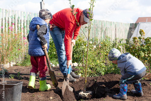 Father and sons plant a young tree on a small rural plot on an autumn sunny day