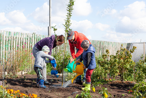 A family of four: mom, dad and two sons watering a young, freshly planted tree from a watering can on an autumn day