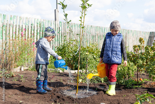 the brothers water a young tree with a watering can on an autumn day