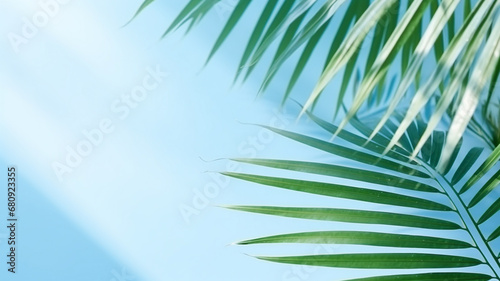 Blurred shadow from palm leaves on the light blue wall.