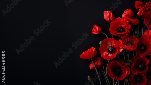 Red poppy flower isolated on black background