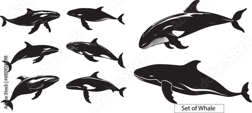 set of silhouette of whales, whales isolated on white background