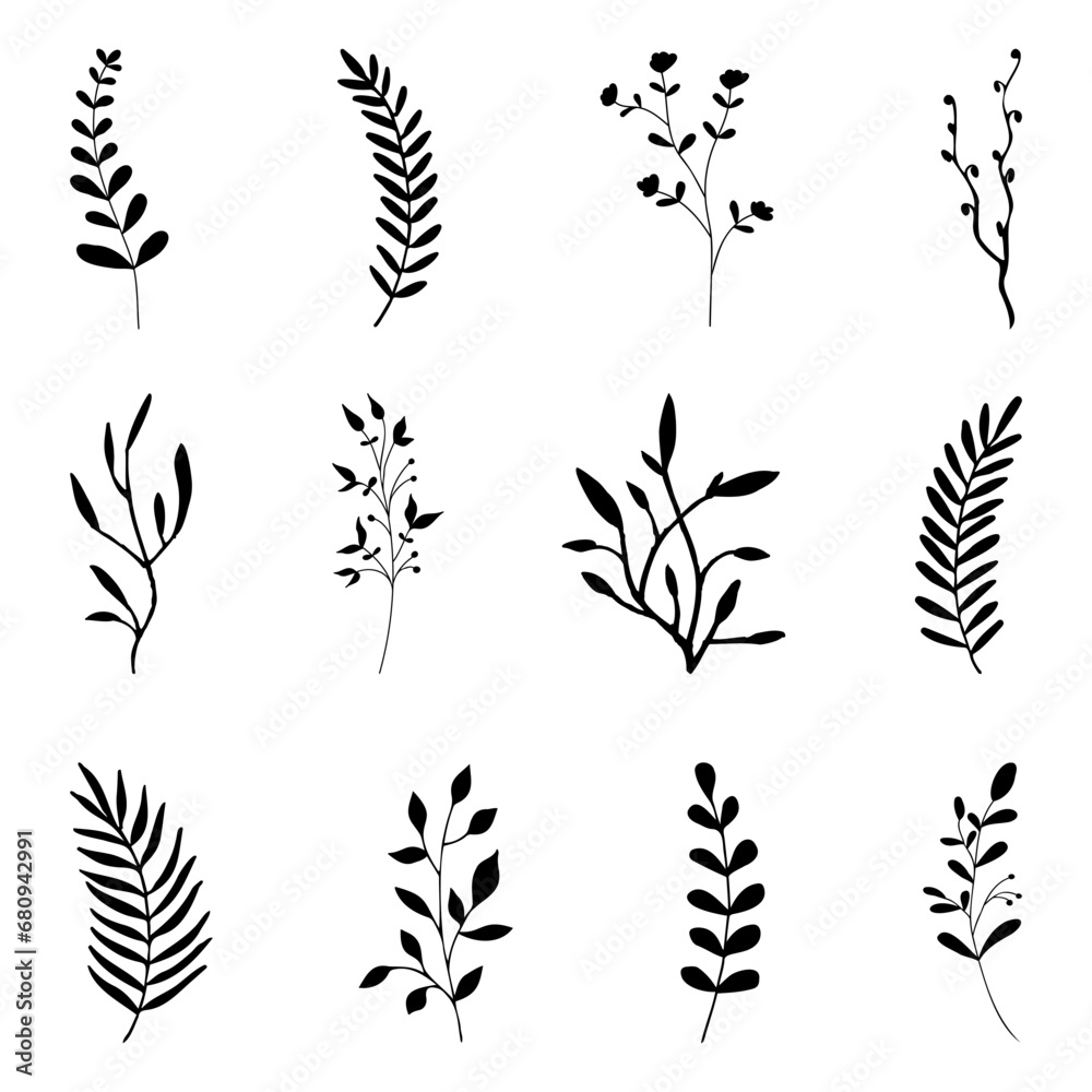 Plant branch silhouette collection. Black floral branch silhouette collection. Herbal branch design element