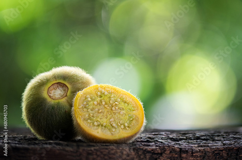 Solanum ferox or Solanum stramoniifolium or Hairy-fruited eggplant fruits on nature background. photo