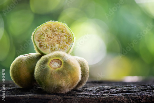 Fototapeta Naklejka Na Ścianę i Meble -  Solanum ferox or Solanum stramoniifolium or Hairy-fruited eggplant fruits on nature background.