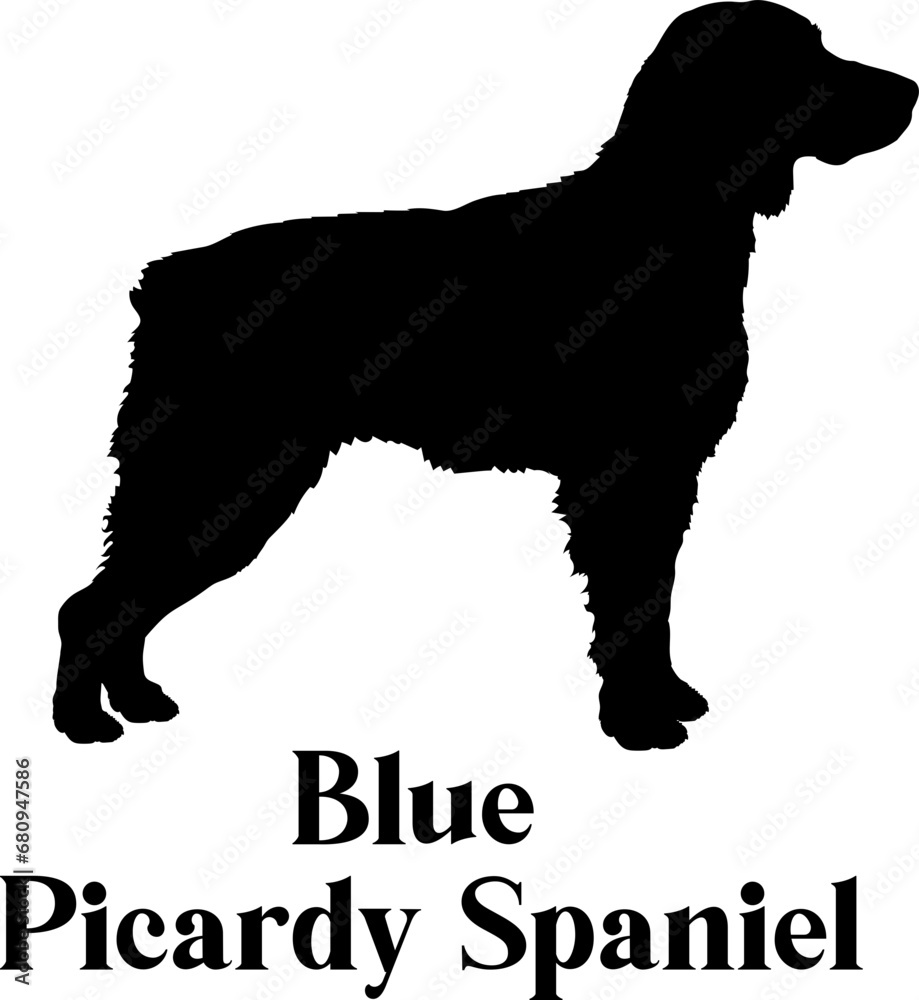 Blue Picardy Spaniel. Dog silhouette dog breeds logo dog monogram logo dog face vector
SVG