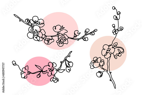 Cherry blossom branches single line art collection. Black and white abstract sakura drawings set with nude pink color shapes. Monochrome outline vector illustration.