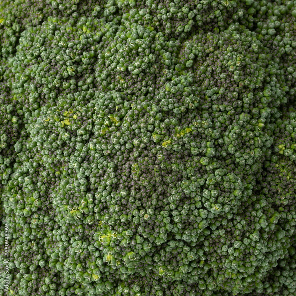 Fresh raw green broccoli close up full frame as background