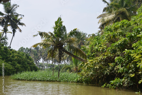 kerala