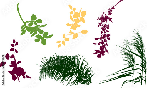 A set of a variety botanical plants and flowers. Miniature images of endangered flora.