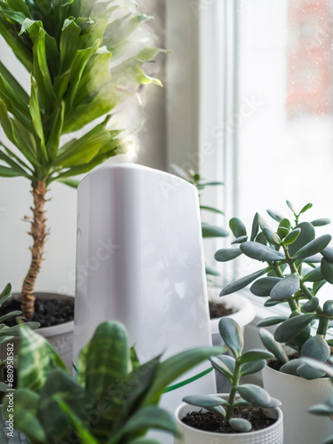 Ultrasonic humidifier among houseplants. Flower pots with succulent plants on windowsill. Water steam moisturizes dry air at home. Electric device for comfort atmosphere in living room.