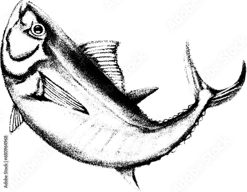 リアルなマグロの和風な墨絵イラスト