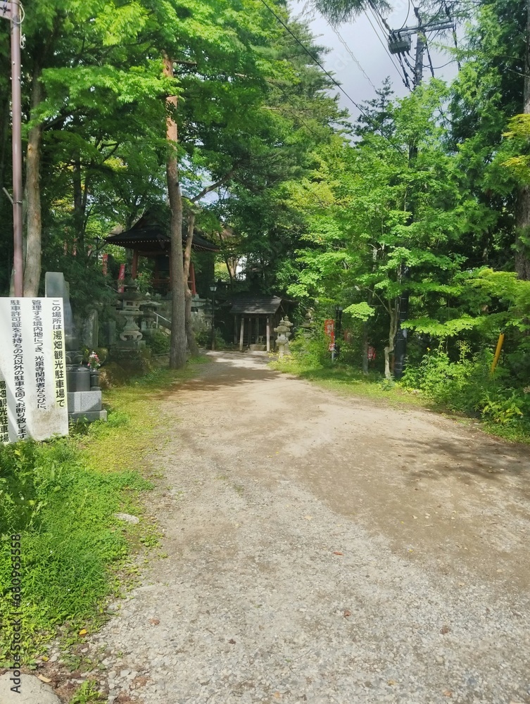 footpath in the park