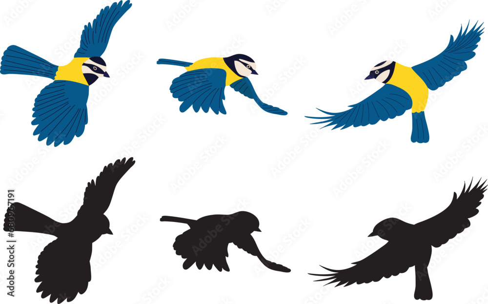 Fototapeta premium tits on white background vector