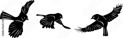 silhouette of a tit flying on a white background vector