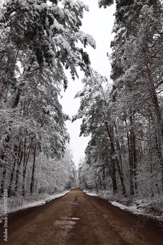 Leśna droga w zimie © Monika