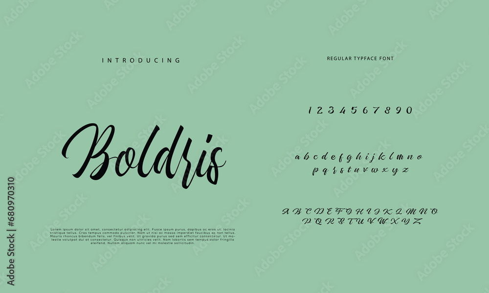 Handwritten Script font. Hand drawn brush style modern calligraphy