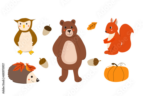 cute cartoon animals - set of bear  owl  squirell