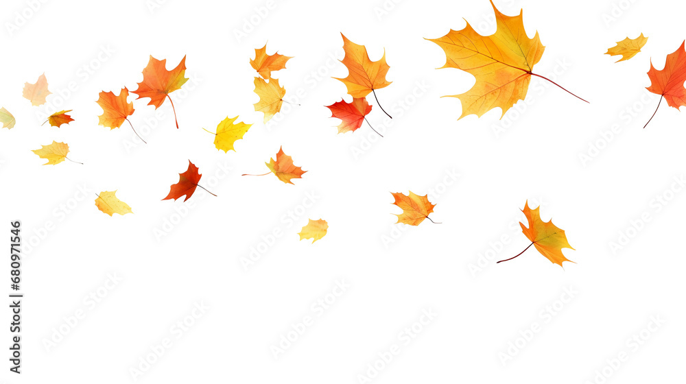 Leaves fluttering in the wind isolated on transparent or white background, png