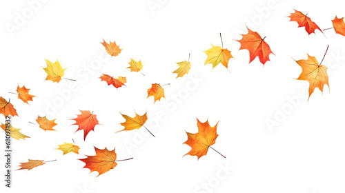 Leaves fluttering in the wind isolated on transparent or white background  png
