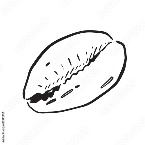 A line drawn illustration of a cowry shell. Black and white hand drawn sketch with subtle shading.