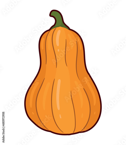 autumn pumpkin illustration