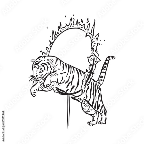 A line drawn tiger jumping through a fire hoop, taken inspiration from old school circus arts. Hand drawn on Procreate.