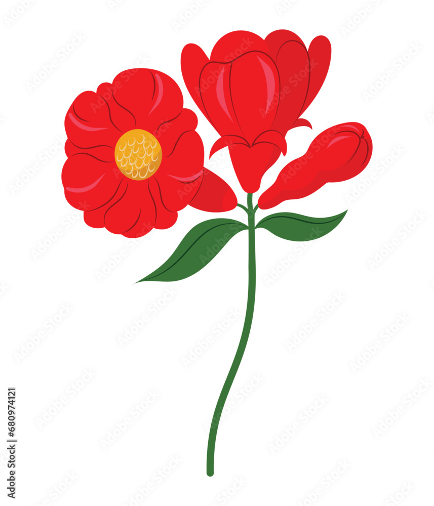 Lovely pomegranate tree flower in flat design, hand drawn isolated vector illustration Lovely pomegranate tree flower in flat design, hand drawn isolated vector illustration