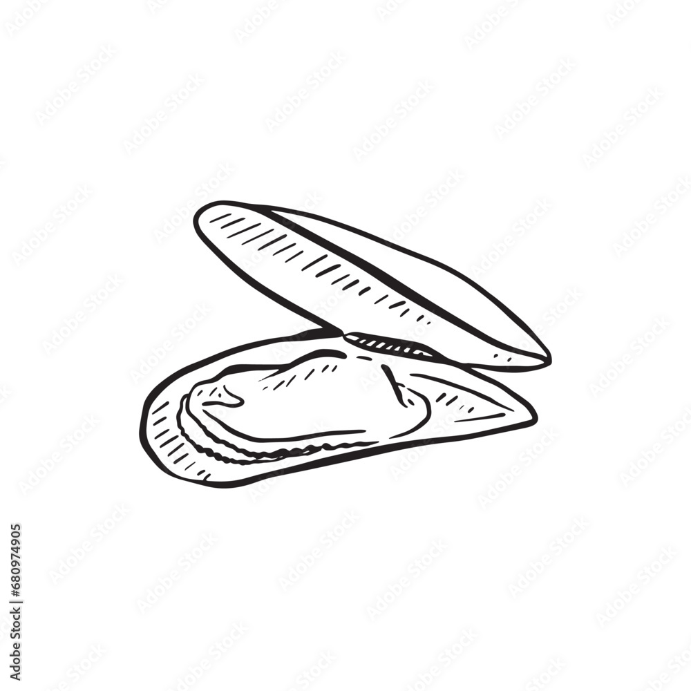 A line drawn illustration of a mussel in a shell. Hand drawn and perfect for menus or fishmongers! A line drawn illustration of a mussel in a shell. Hand drawn and perfect for menus or fishmongers!