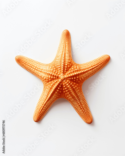 Oceanic Starfish Shape Isolated on White