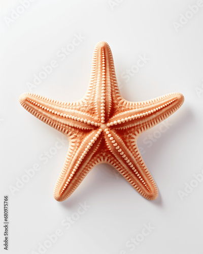 Marine Starfish Silhouette Isolated on White