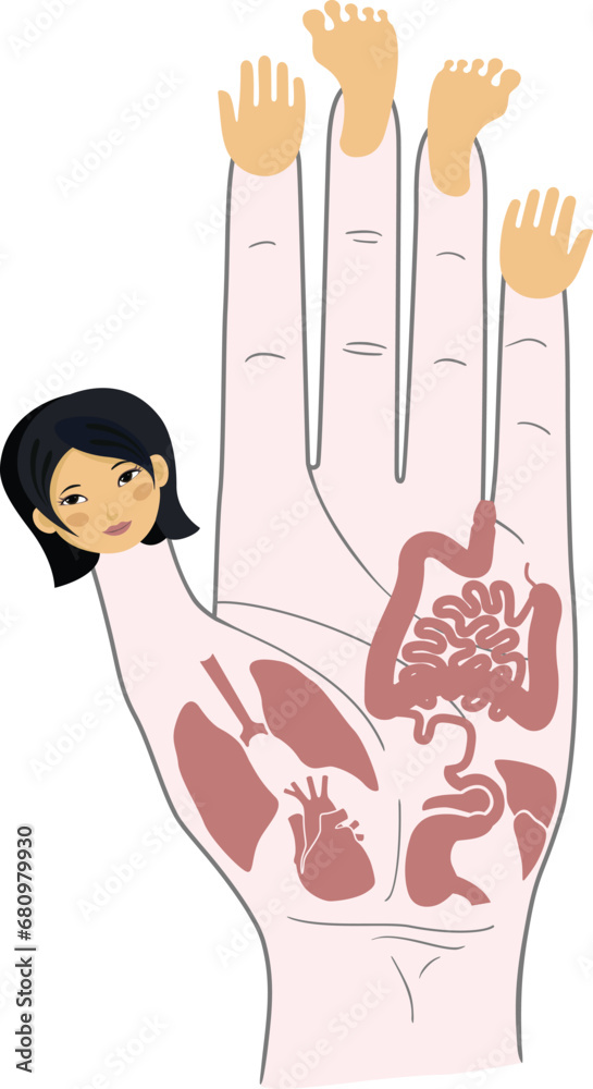 Human anatomy. Vector illustration of human hand and internal organs ...