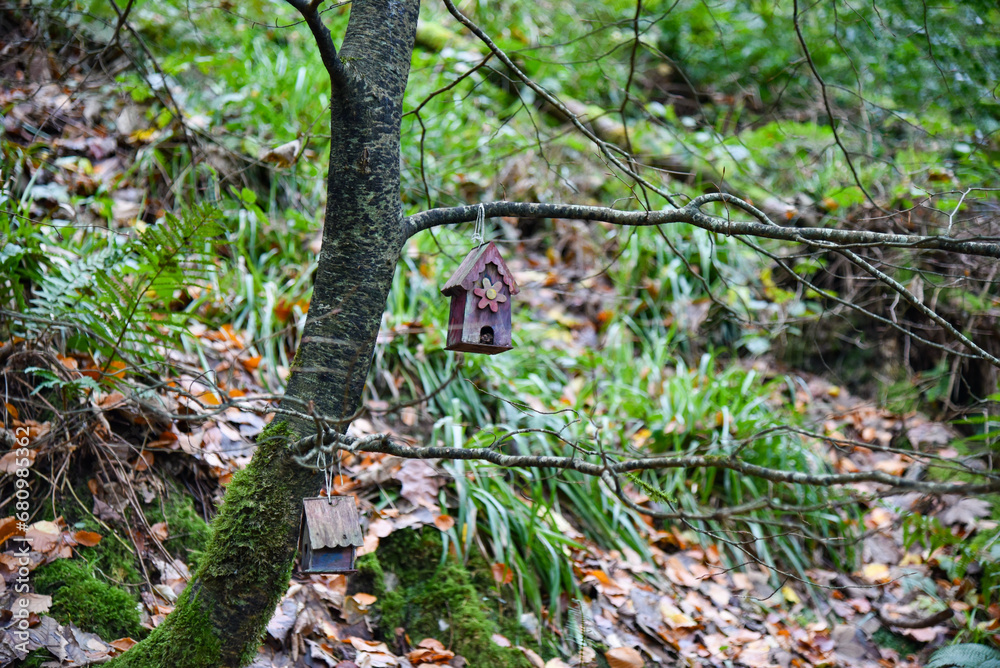 Obraz premium Bird Boxes in Woodland
