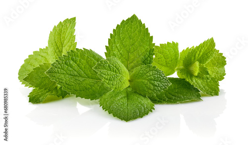 Green brandy mint leaves. Fresh aromatic herbs ingredient for mojito and refreshing cocktails or tea drink. Organic natural plant leaf. Isolated on white background
