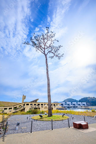 奇跡の一本松と東日本大震災遺構　岩手県陸前高田市　The miraculous lone pine pine and the remains of the Great East Japan Earthquake. Iwate Pref, Rikuzentakata City. photo