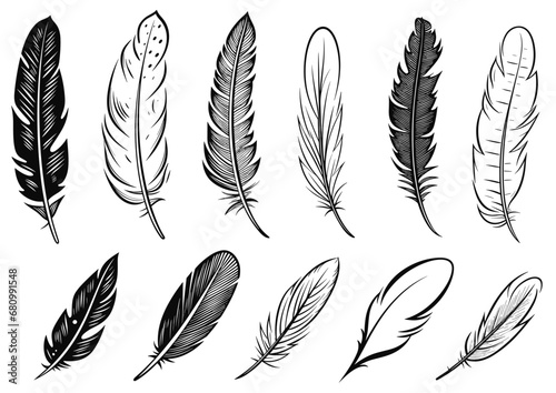 Vector Black and White Feather Set, hand drawn style, vector illustration.