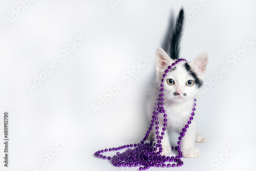 black and white kitten with purple beads on white background