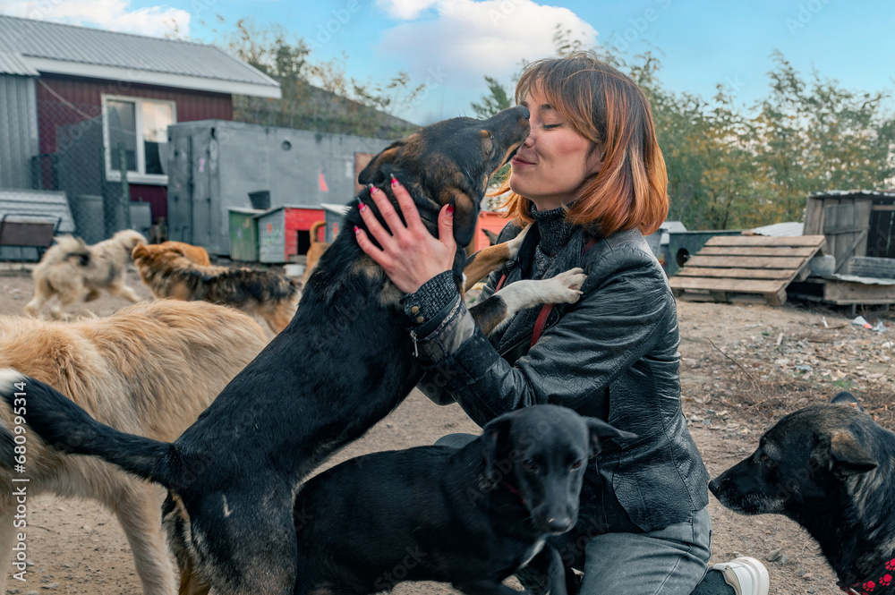 Dog at the shelter. Animal shelter volunteer takes care of dogs. Volunteer taking care of dog in shelter Dog at the shelter. Animal shelter volunteer takes care of dogs. Volunteer taking care of dog in shelter
