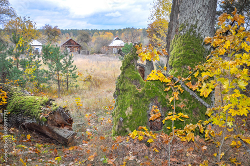 Autumn rural landscape with fence, field, forest and house. Quality image for your project
