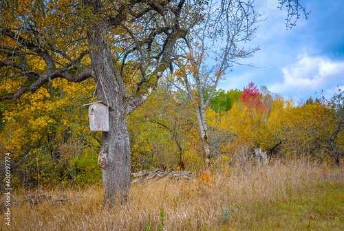 Wooden birdhouse on tree trunk. Autumn rural landscape. Quality image for your project