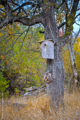 Wooden birdhouse on tree trunk. Autumn rural landscape. Quality image for your project