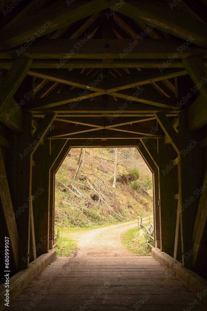 tunnel in the woods tunnel in the woods