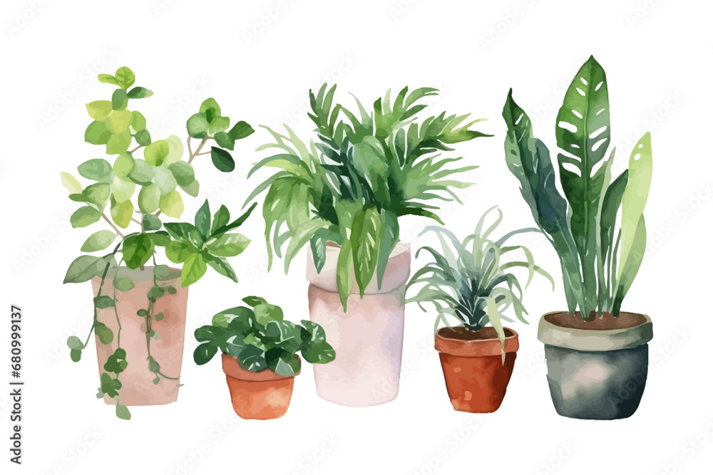 Fototapeta premium Watercolor flowerpot collection. Home plants vector illustration.