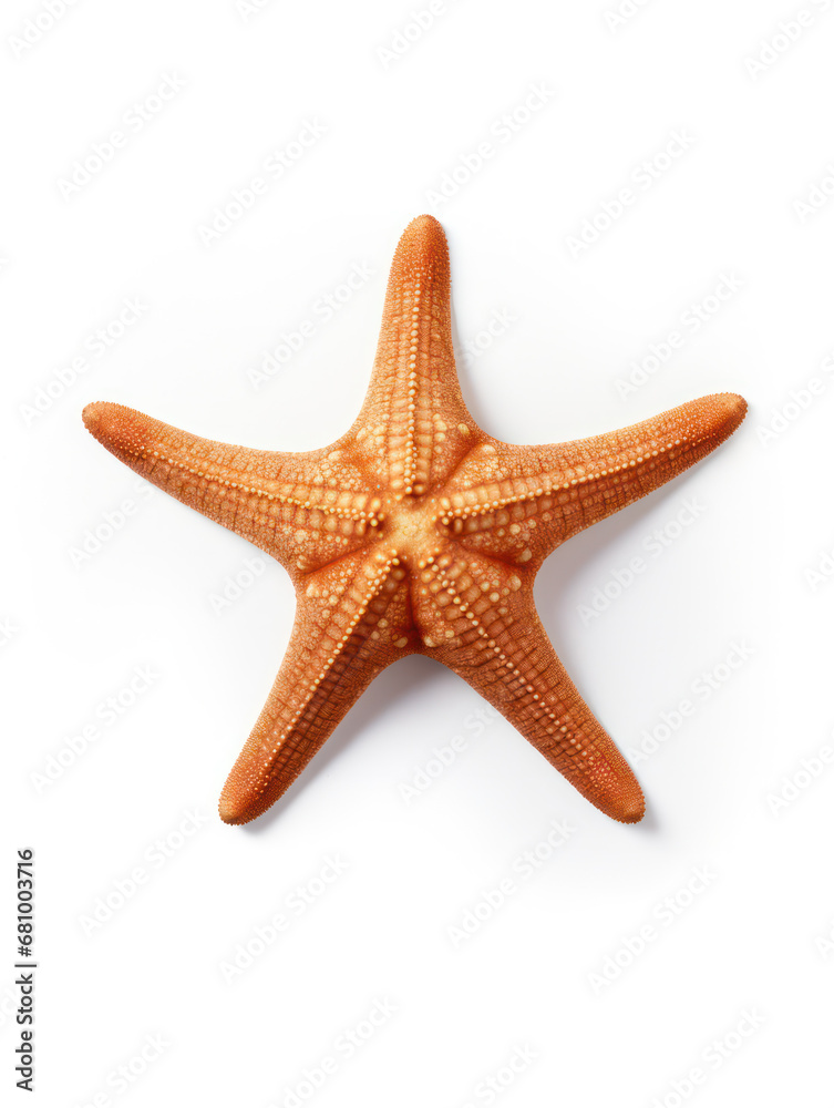 Starfish Studio Shot Isolated on Clear White Background, Generative AI Starfish Studio Shot Isolated on Clear White Background, Generative AI