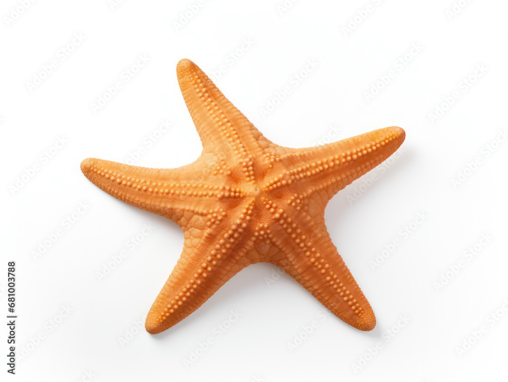 Starfish Studio Shot Isolated on Clear White Background, Generative AI Starfish Studio Shot Isolated on Clear White Background, Generative AI