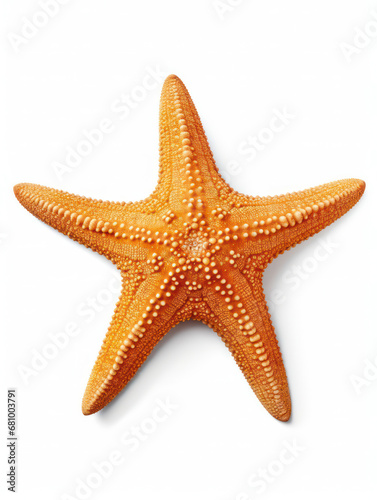 Starfish Studio Shot Isolated on Clear White Background, Generative AI